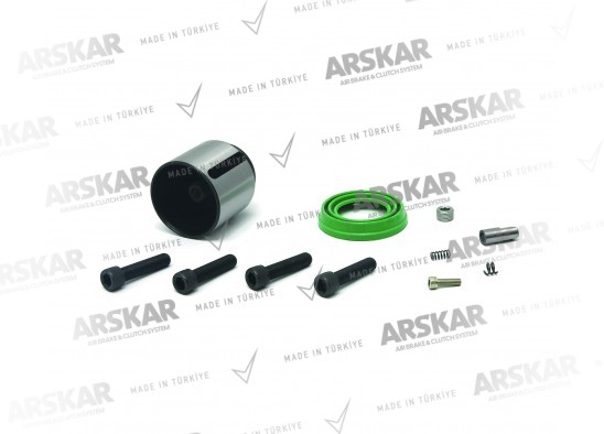 Caliper Piston Repair Kit - R / 150 810 219