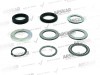 Caliper Seal & Bearing Set / 150 810 328