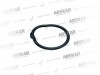 Caliper Plastic Cover Gasket / 160 820 239