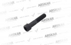 Caliper Pin Bolt - M20 x 2 / 80 mm / 160 840 081