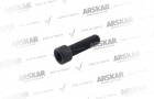 Caliper Cover Bolt - M16 x 1.5 / 55 mm / 160 840 126