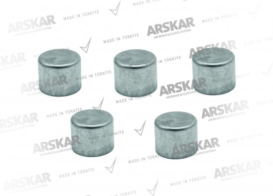 Caliper Cap Set / 160 820 341