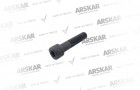 Caliper Pin Bolt - M16 x 1.5 / 80 mm / 190 850 001