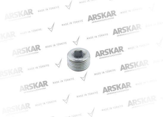 Caliper Adjuster Socket Plug / 150 810 208