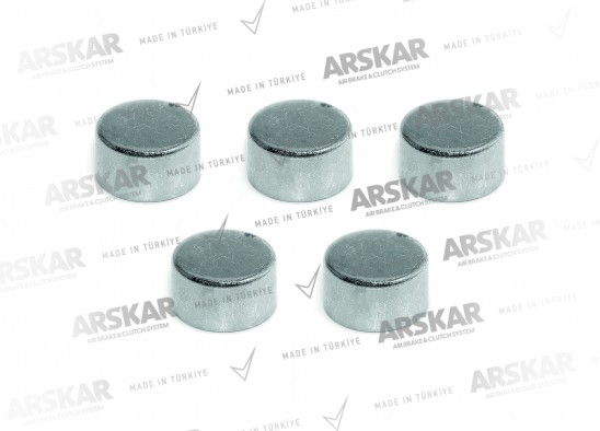 Caliper Cap Set / 160 820 179