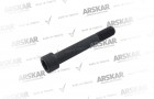 Kaliper Perno Cıvatası - M20 x 1.5 / 150 mm / 160 840 070