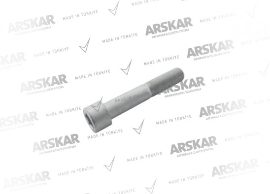 Kaliper Perno Cıvatası - M16 x 1.5 / 125 mm / 160 820 146