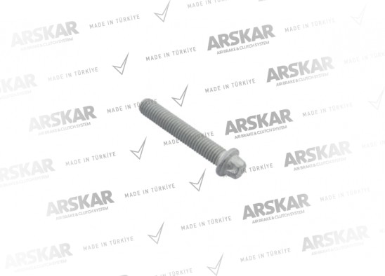 Kaliper Kapak Cıvatası - M12 x 1.75 / 80 mm / 160 820 290