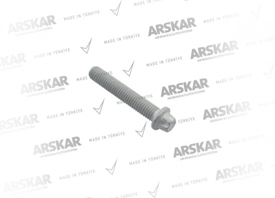 Kaliper Kapak Cıvatası - M10 x 1.5 / 60 mm / 160 820 295