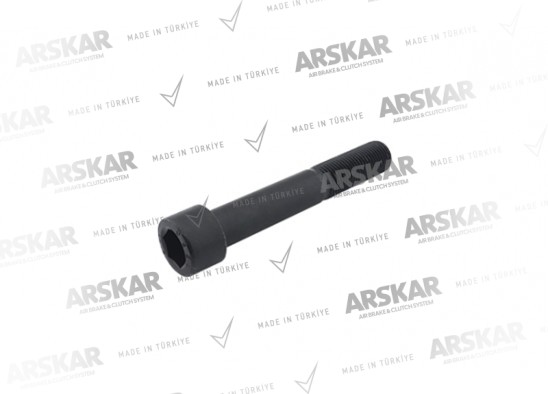 Kaliper Perno Cıvatası - M18 x 1.5 / 120 mm / 160 840 055