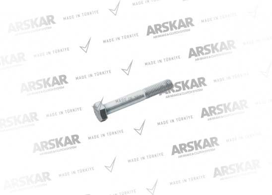 Kaliper Hareket Kolu Cıvatası - M8 x 1.25 / 60 mm / 160 840 664